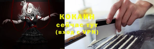 стаф Богородск