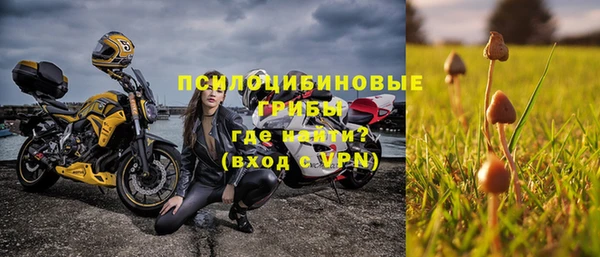 apvp Богородицк