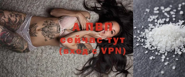 спиды Ростов