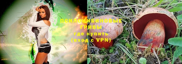 метамфетамин Богданович