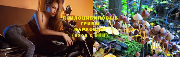 ALPHA-PVP Белокуриха